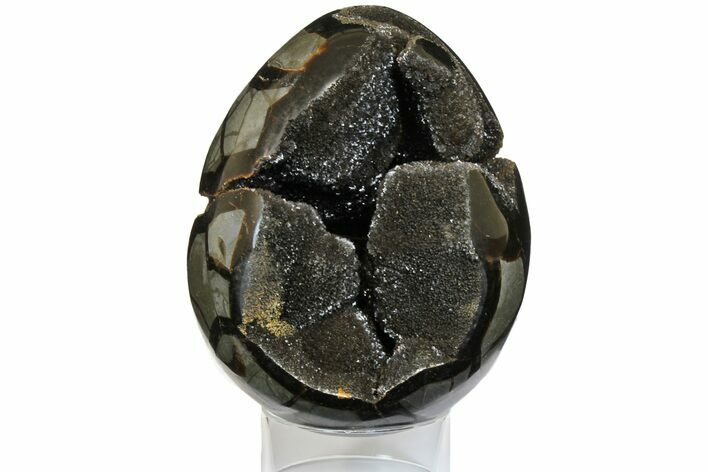 Septarian Dragon Egg Geode - Black Crystals #145259
